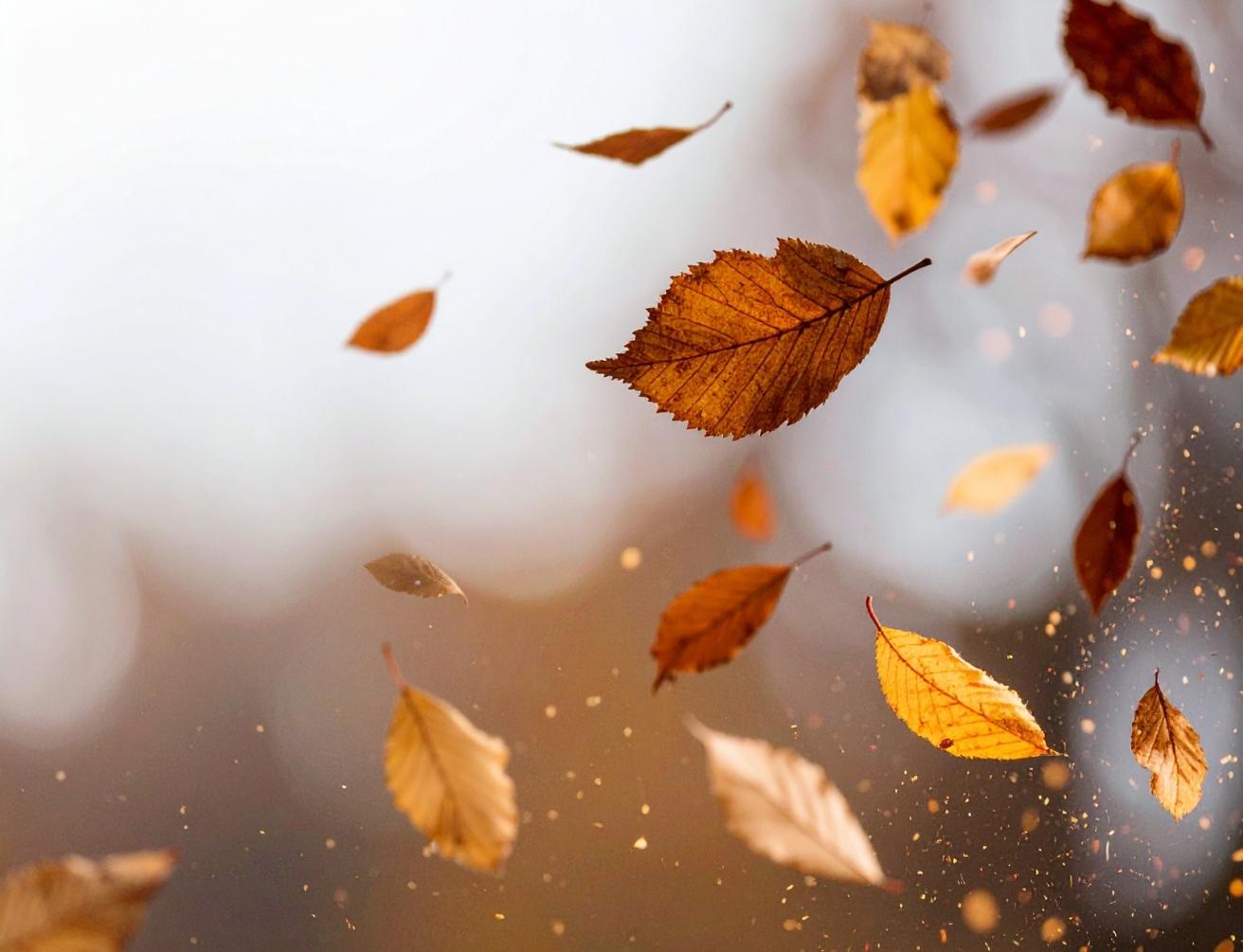 Signes et synchronicités perçus grâce à la pleine présence Signes et synchronicités perçus grâce à la pleine présence